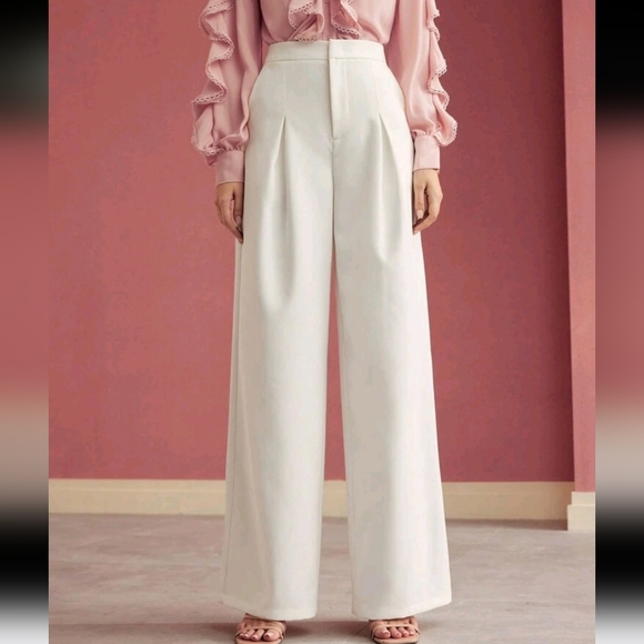 TAILORED FOLD PLEATED SUIT PANTS - Picture 1 of 4